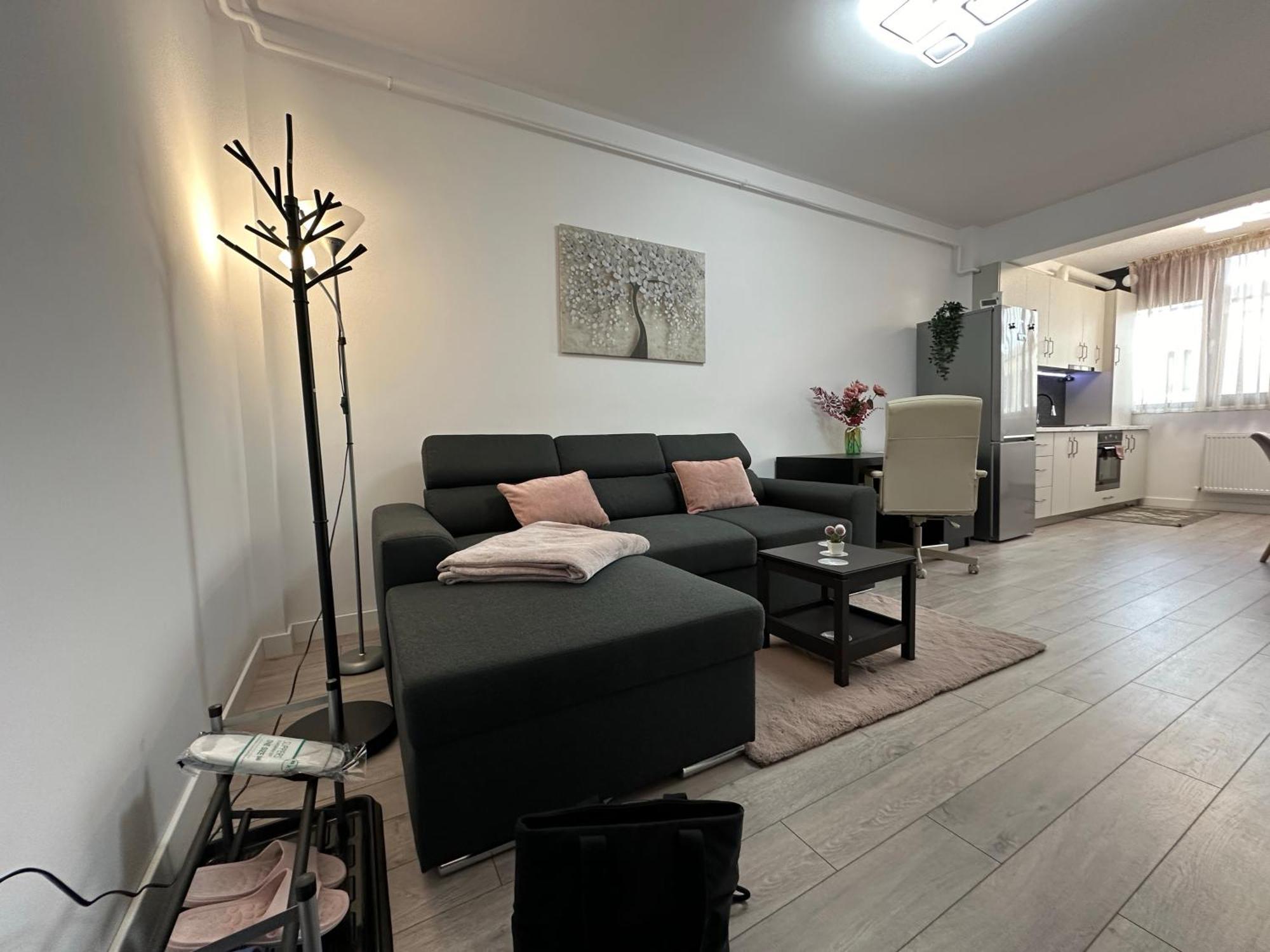 Angela Nordic Apartment. Suceava Dış mekan fotoğraf